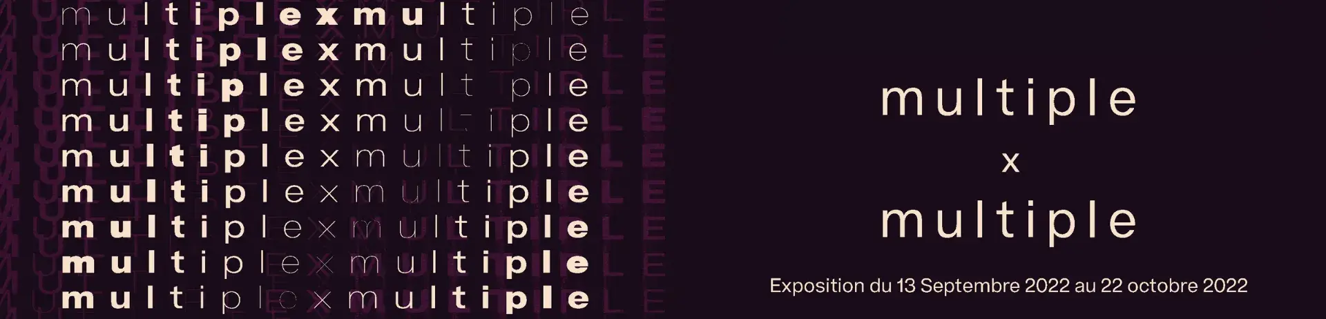 Multiple x multiple