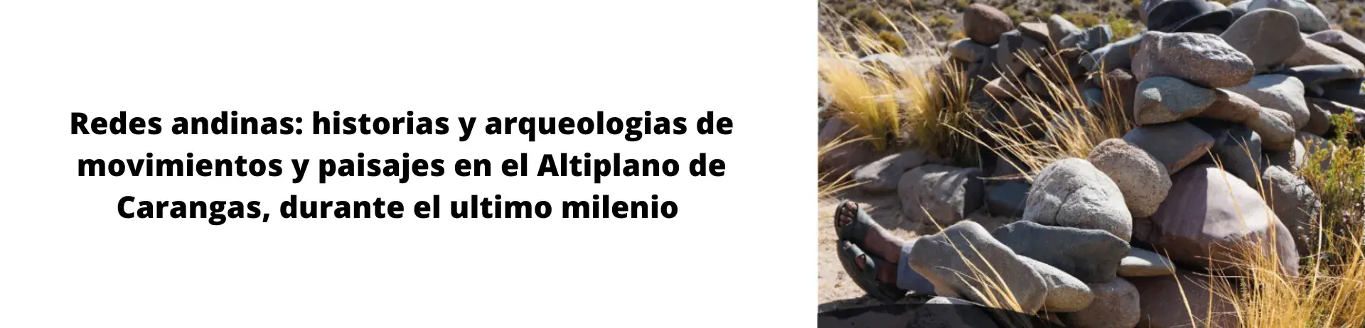 Redes andinas: historias y arqueologias de movimientos y paisajes en el Altiplano de Carangas, durante el ultimo milenio