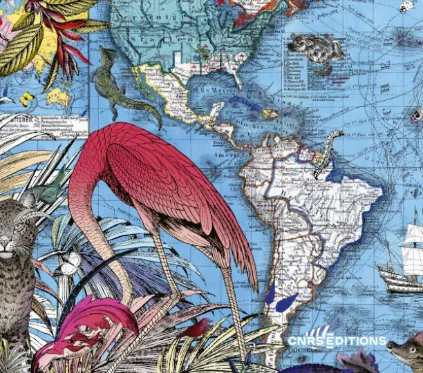 Géographies, un dictionnaire